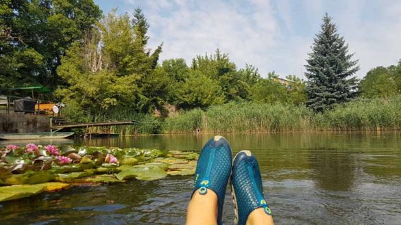 Einen Teich mieten Private "Teichzeit" im Weinviertel mit Hund