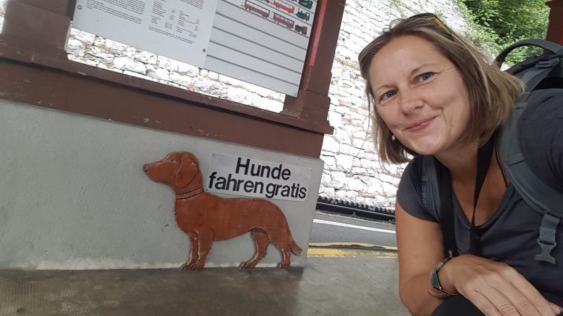 brienzer rothornbahn gratis hunde schild