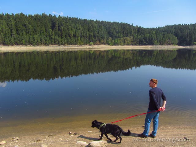 waldviertel ottensteiner stausee mit hund ausflugstipp