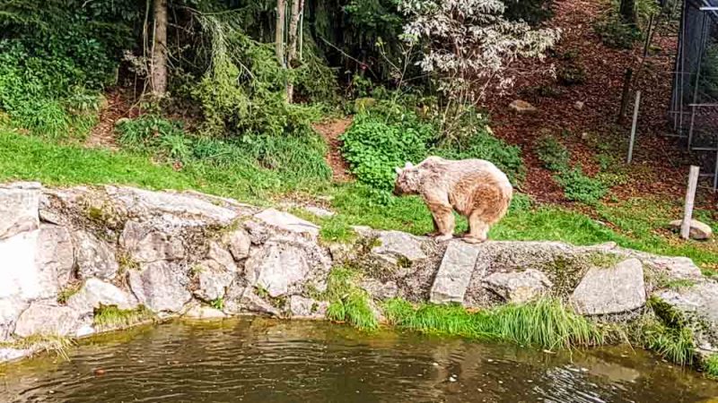 Waldviertel Ausflugsziele 2018 (81)