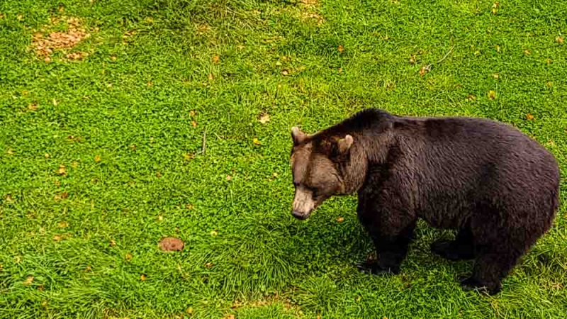 Waldviertel Ausflugsziele 2018 (83)