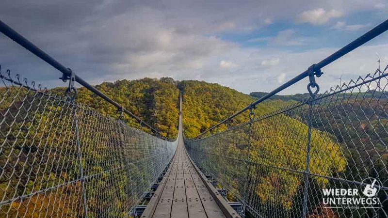 geierlay schönste hängebrücke