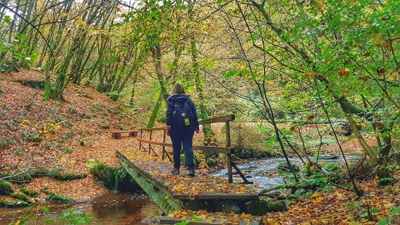 Wandern in der baybachklamm im hunsrück nahe hängebrücke