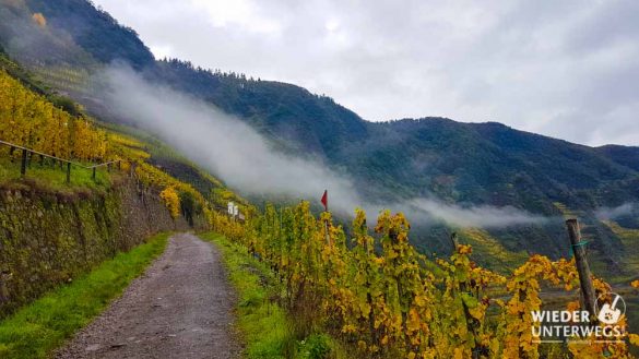 20191019 113145 20191019 113145 39 Mosel Rheinland Pfalz Web