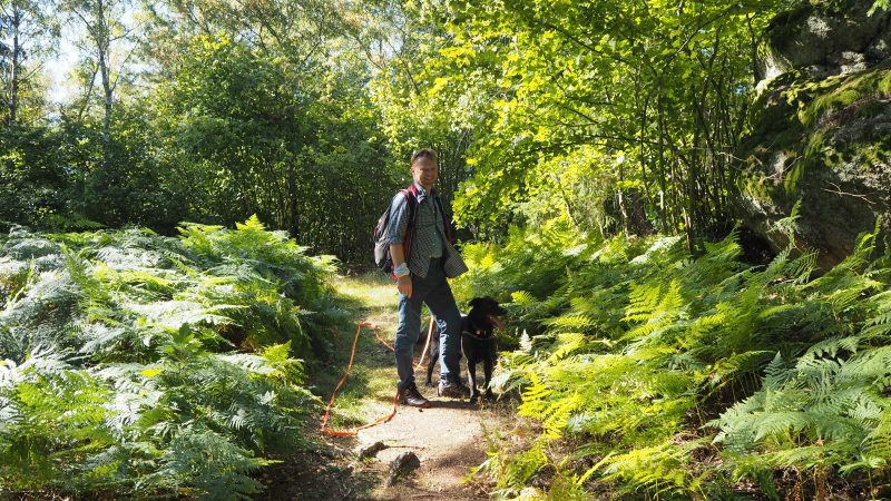 waldviertel wanderweg