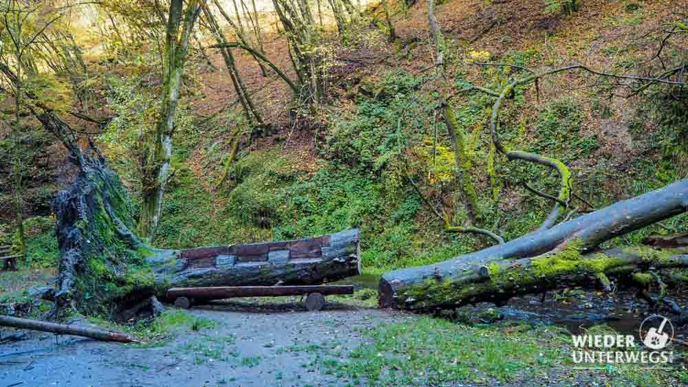 baybachklamm hunsrück