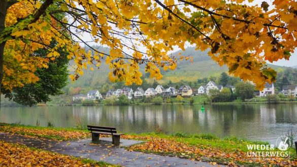 PA190999 PA190999 21 Mosel Rheinland Pfalz web PA190999 PA190999 21 Mosel Rheinland Pfalz Web