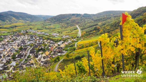 PA191082 PA191082 99 Mosel Rheinland Pfalz Web