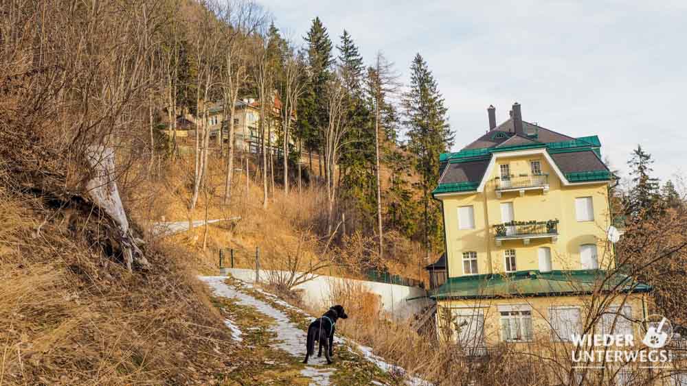 Semmering Villen Hotels 2020 (26) Web