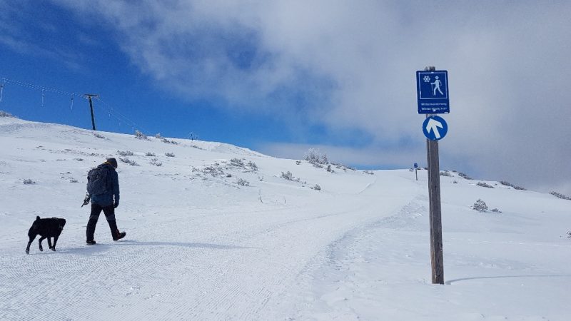 winterwanderweg tauplitz