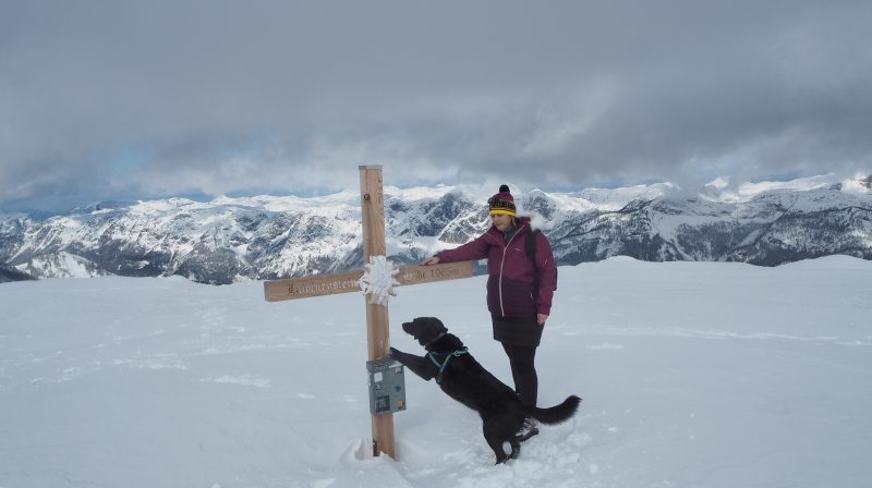 Gipfelkreuz Lawinenstein mit Hund