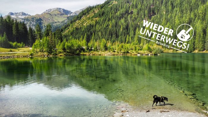 hundeurlaub see lungau