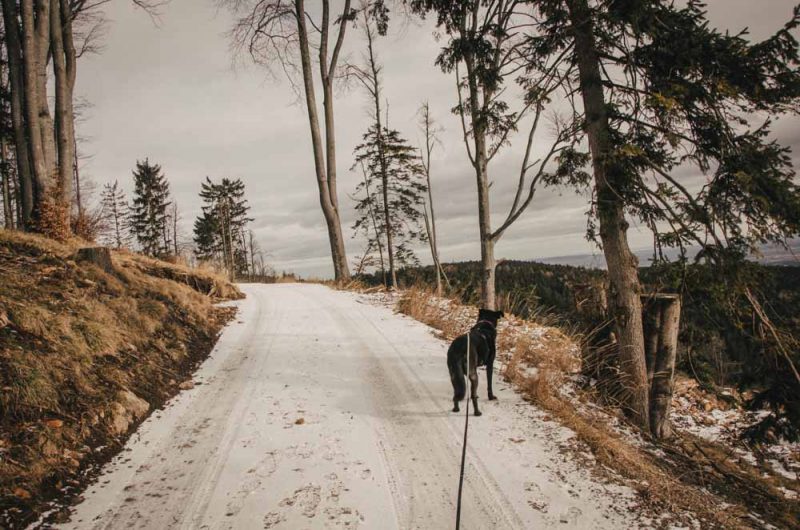 naturpark hohe wand wanderung