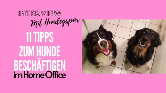 Hunde beschäftigen im Home office