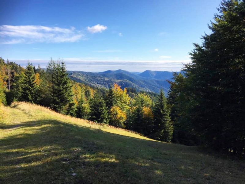 wanderung unterberg piste