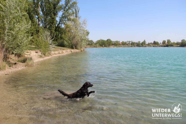 Zu Besuch am Badeteich Hirschstetten Hundezone, wir kommen!