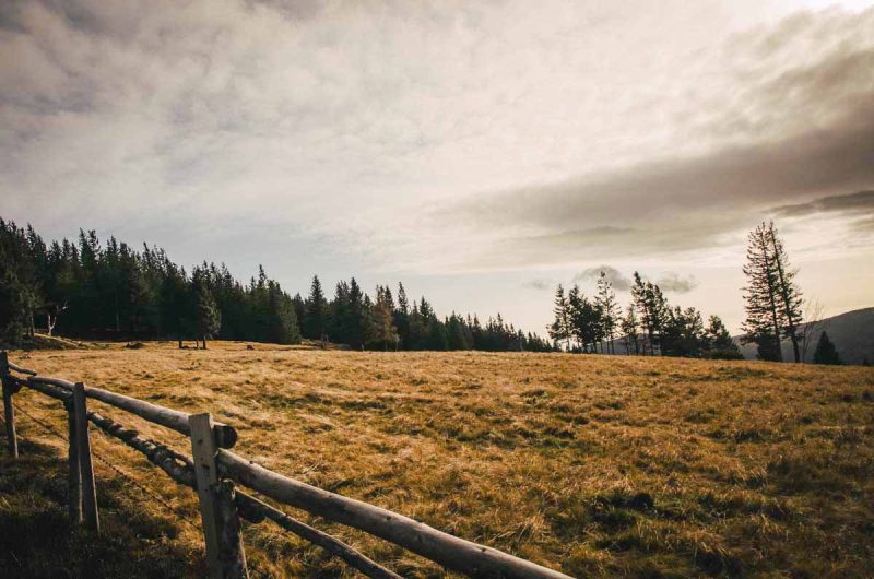 st. corona wanderung kampstein herbst