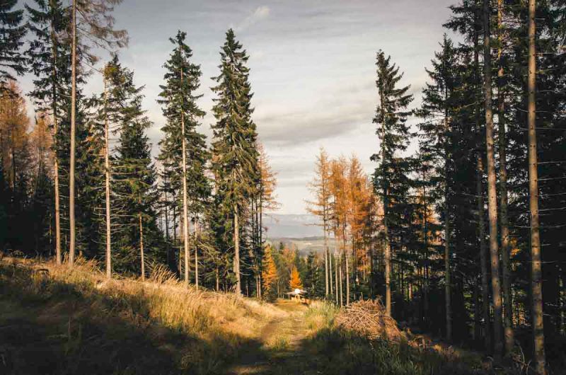 herbstwanderung kampstein st. corona erlebnisarena