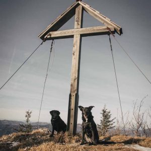 Zwei Hunde am Gipfelkreuz Obersberg
