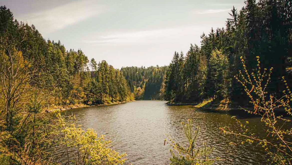 ottensteiner stausee wanderung oben ansicht