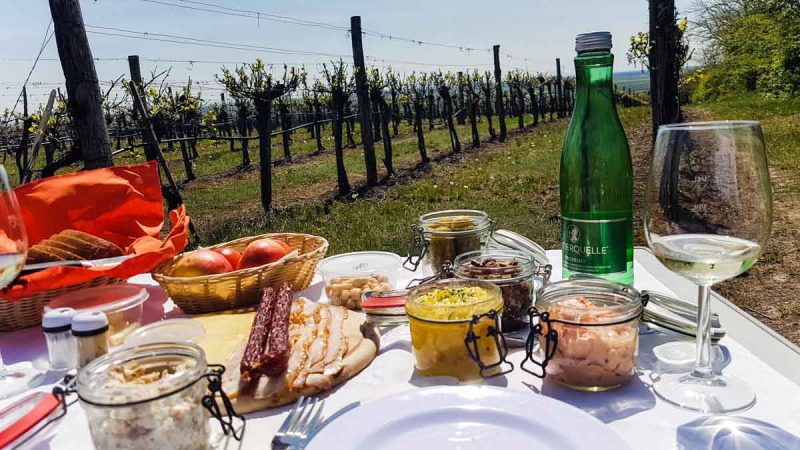 reich gedeckt picknick im weinviertel bockfliess