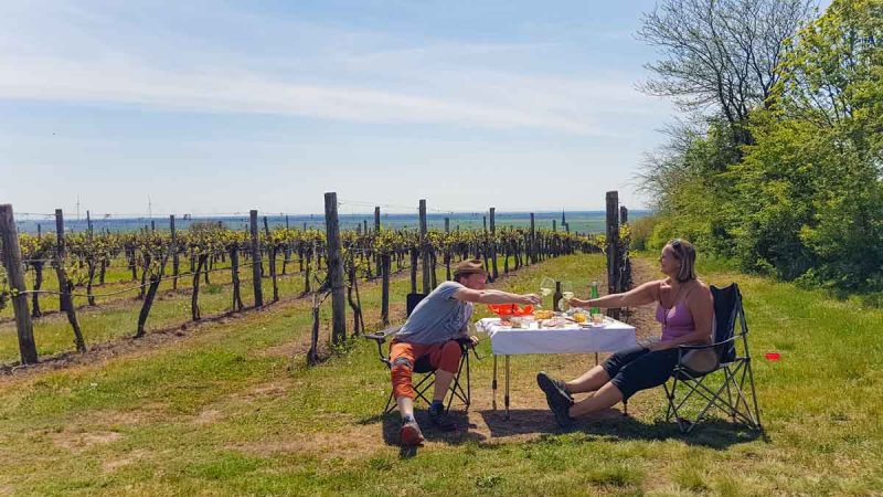 Picknick im Weinviertel