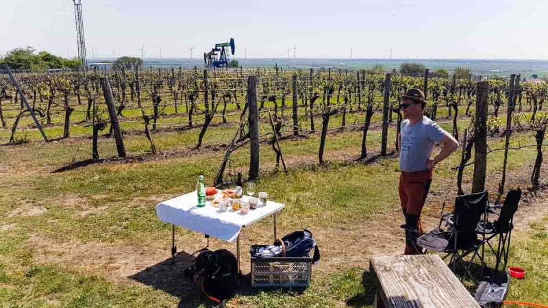 unser platzerl picknick im weinviertel