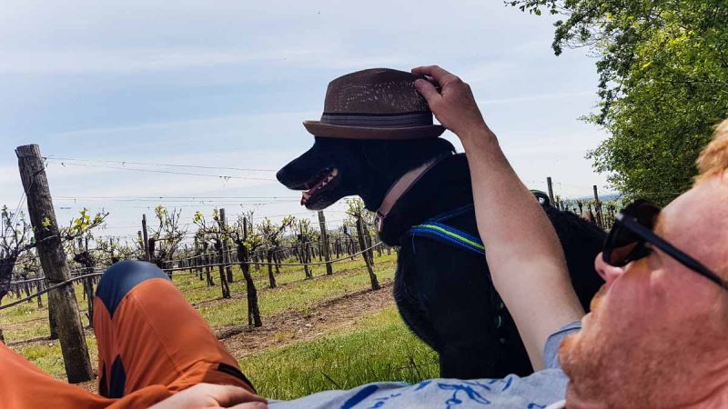 rasten im schatten picknick im weinviertel