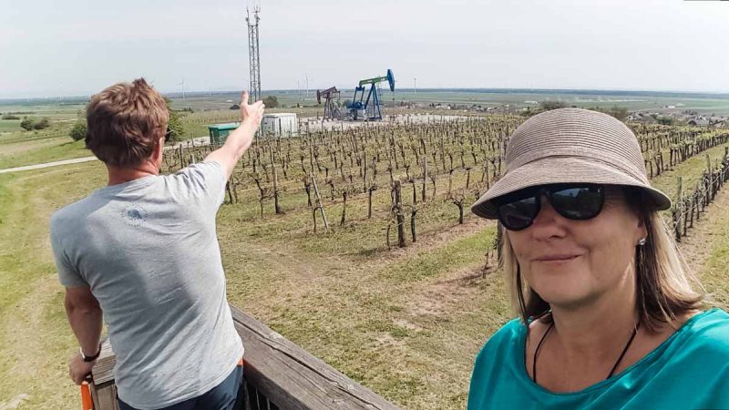picknick im weinviertel während corona