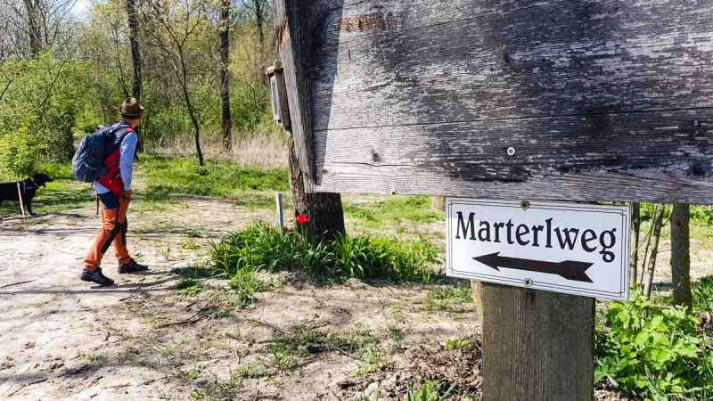 auf dem weg zum picknick im weinviertel