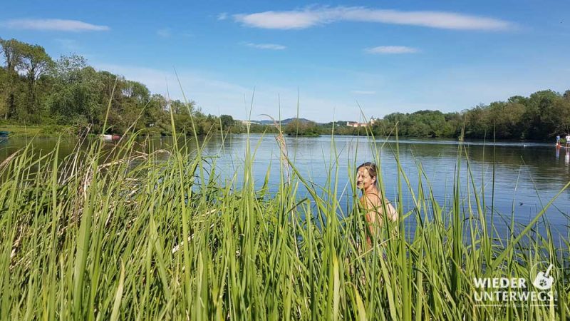 sommerfrische am donausee