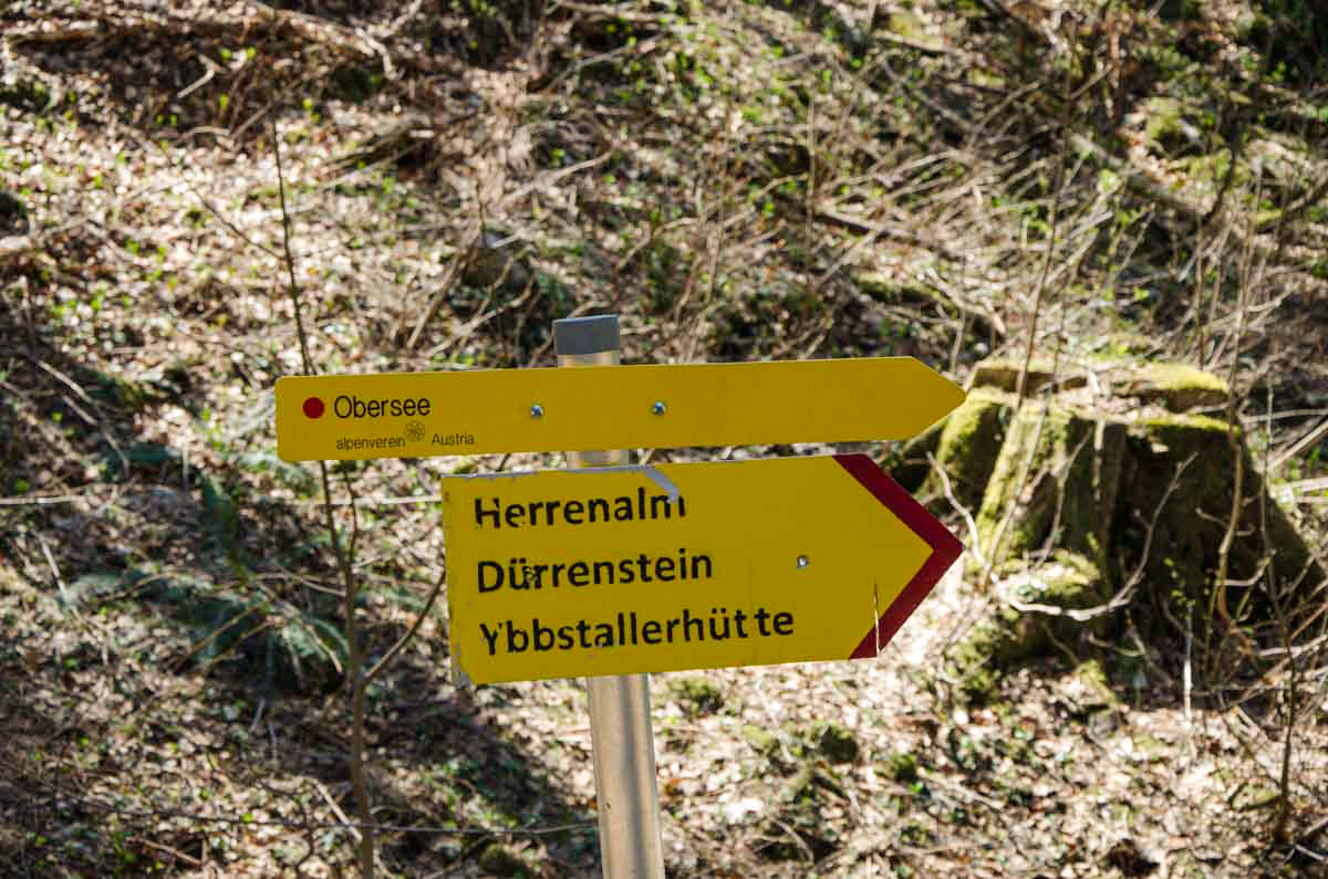 wandertafel dürrenstein beim haus der wildnis