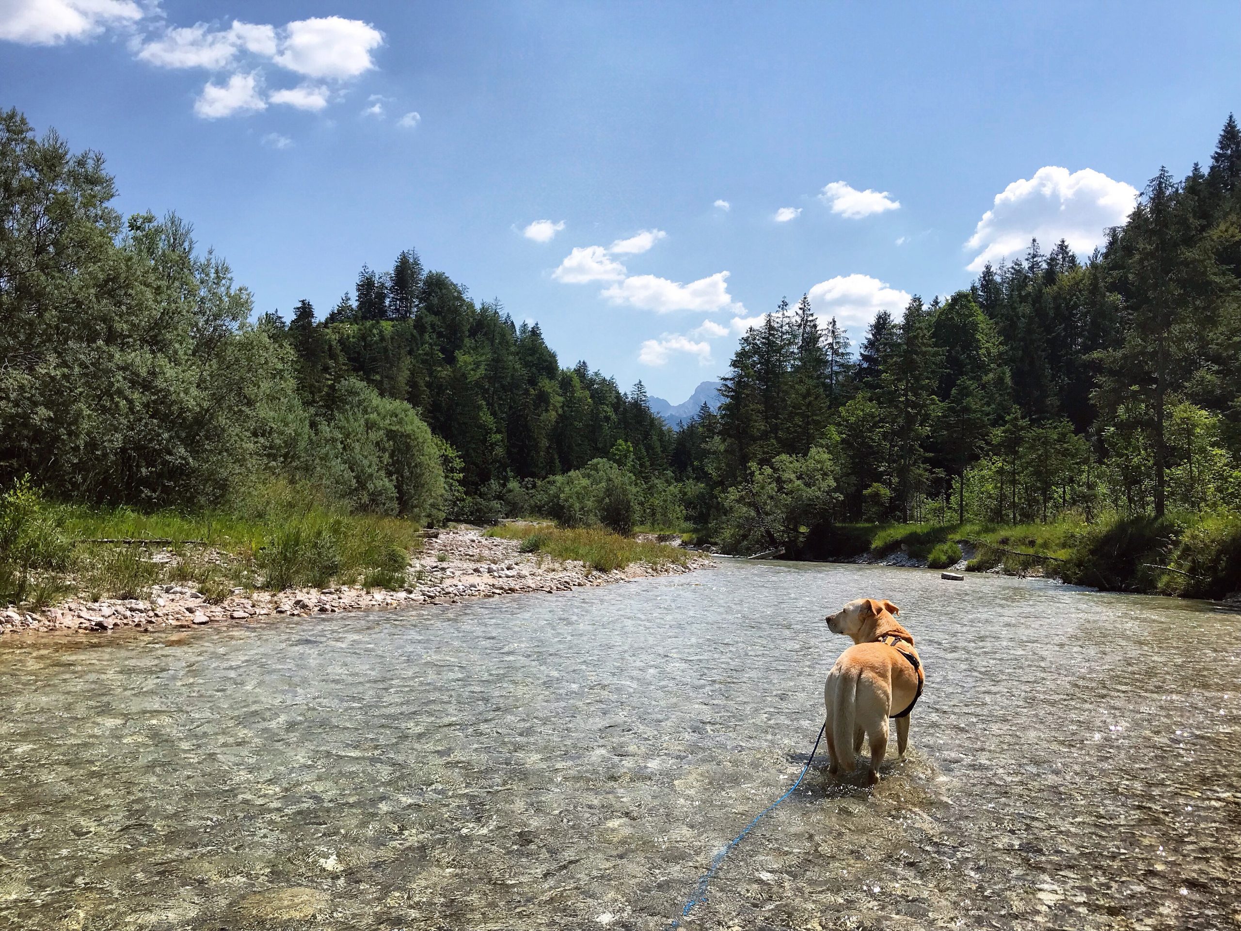 Flussbaden in der Alm