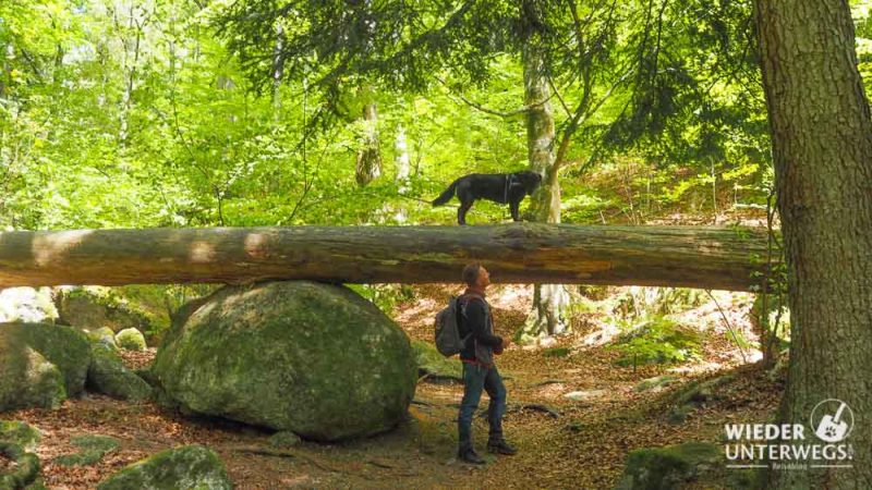 ysperklamm wanderung waldviertel