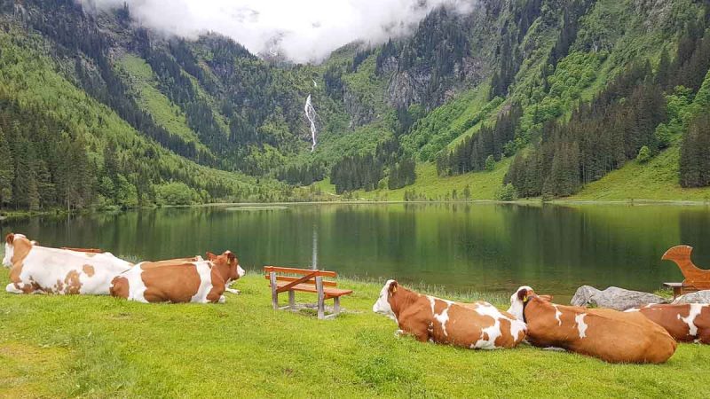 steirischer bodensee