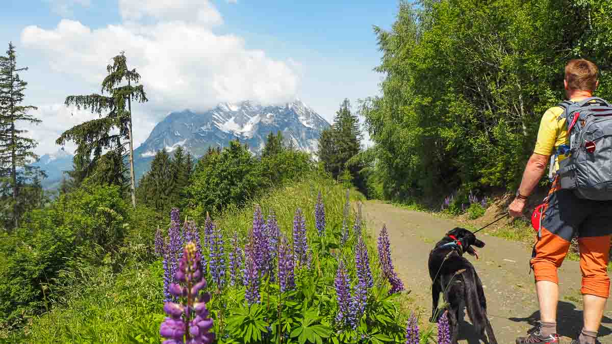 Kulm Wanderweg mit Grimmingblick