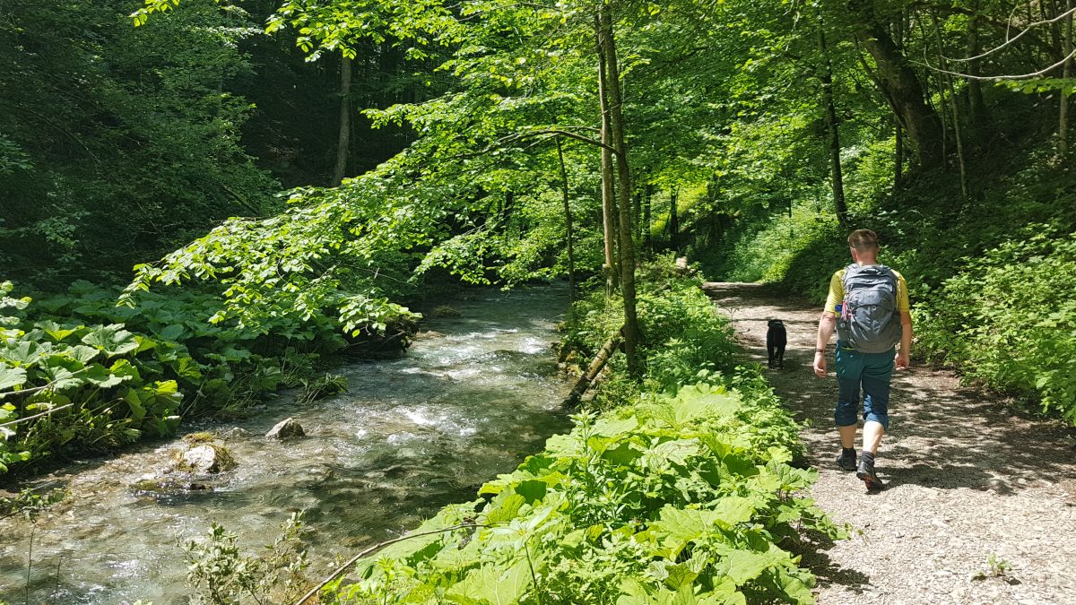 wanderweg trefflingfall