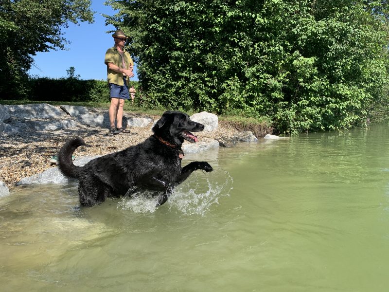 St. Pölten See: Ebersdorfer See mit hUnd