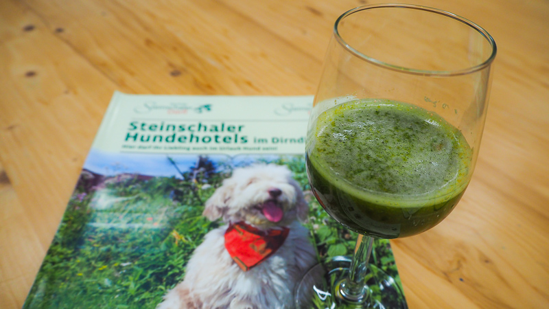 Smoothie aus Wildkräutern
