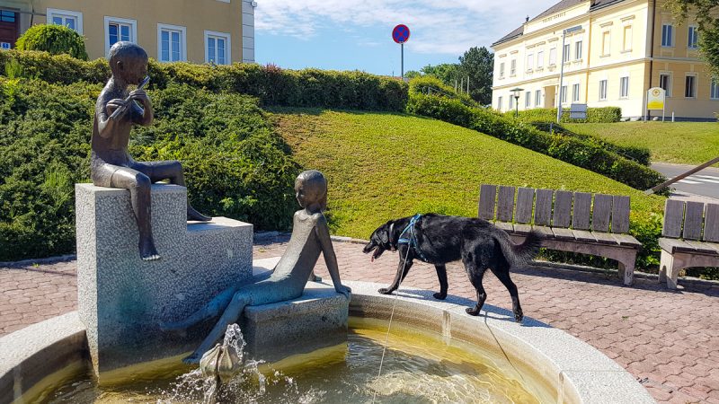 erfrischung kur mit hund pfarrkirchen