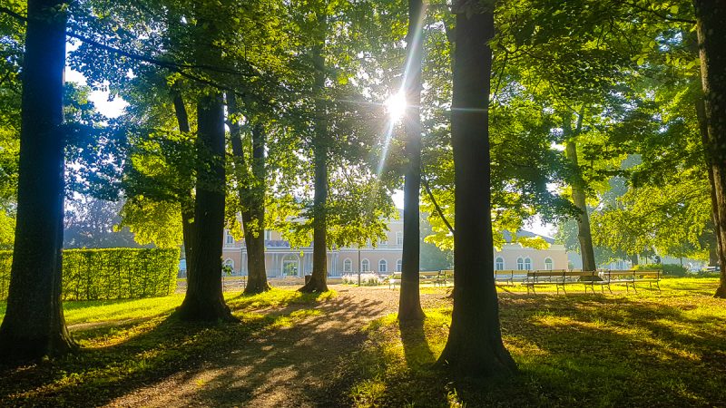Kur mit hund kurpark Bad hall