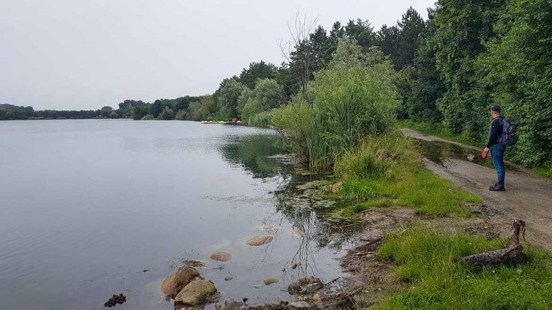 Großer Viehhofner See