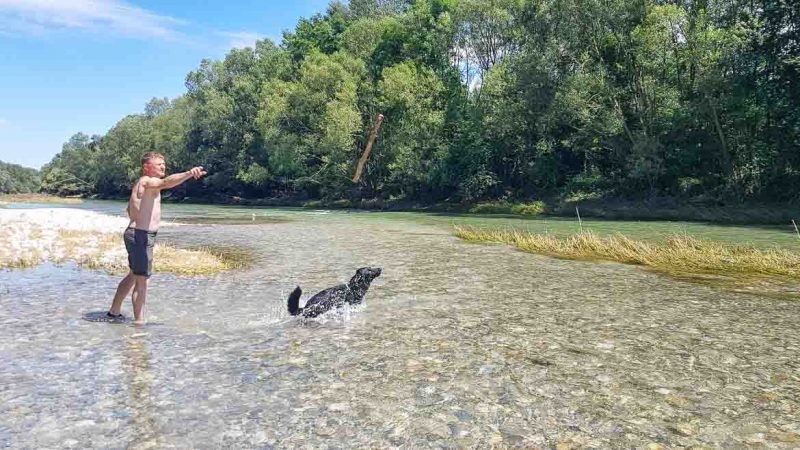 Baden mit Hund in der Traisen