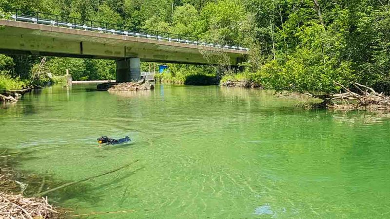 Türnitzer Traisen nahe den Seen St. Pölten