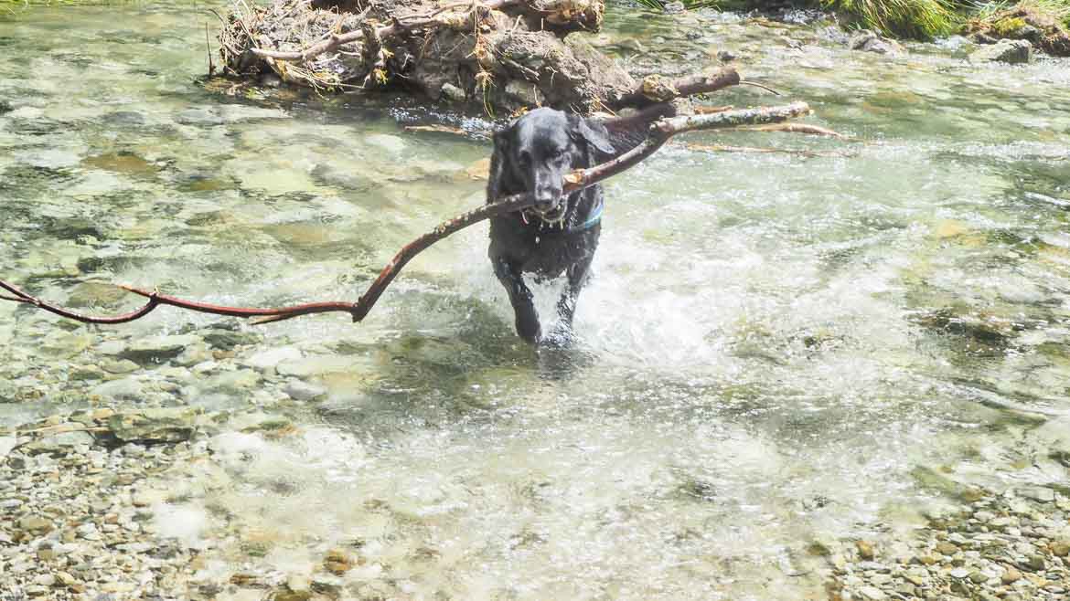 spielen im trefflingbach