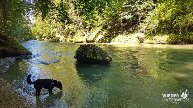 wanderung mit hund erlaufschlucht