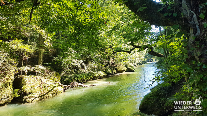 erlaufschlucht grünes wasser