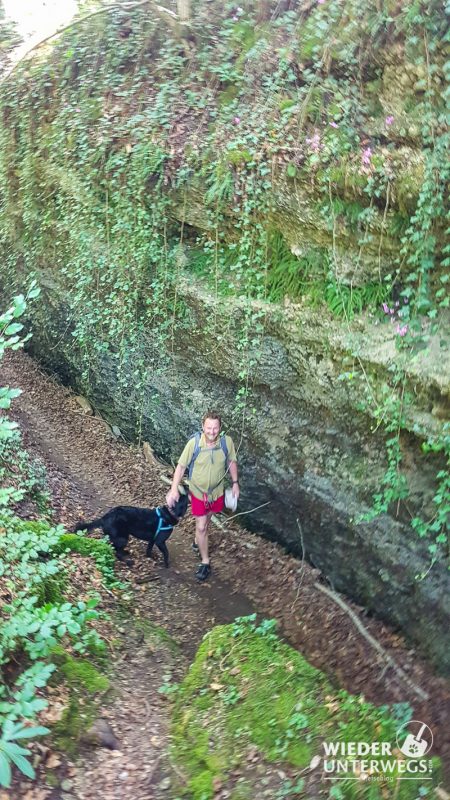 felsen erlaufschlucht