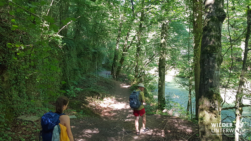 entlang der erlauf in der erlaufschlucht
