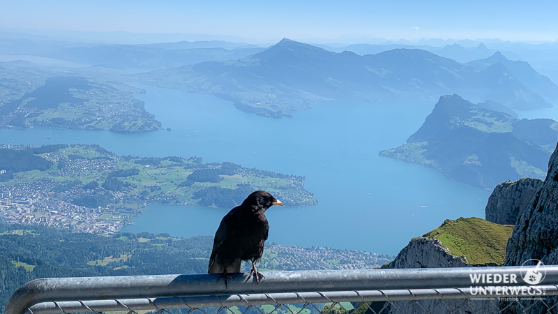 ausblick vom pilatus auf vierwaldstättersee